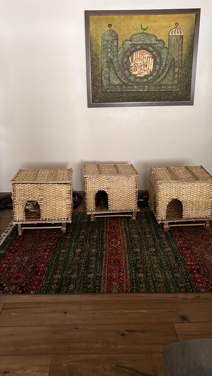 Three woven bamboo cat shelters on a rug, with a cat peeking out of one